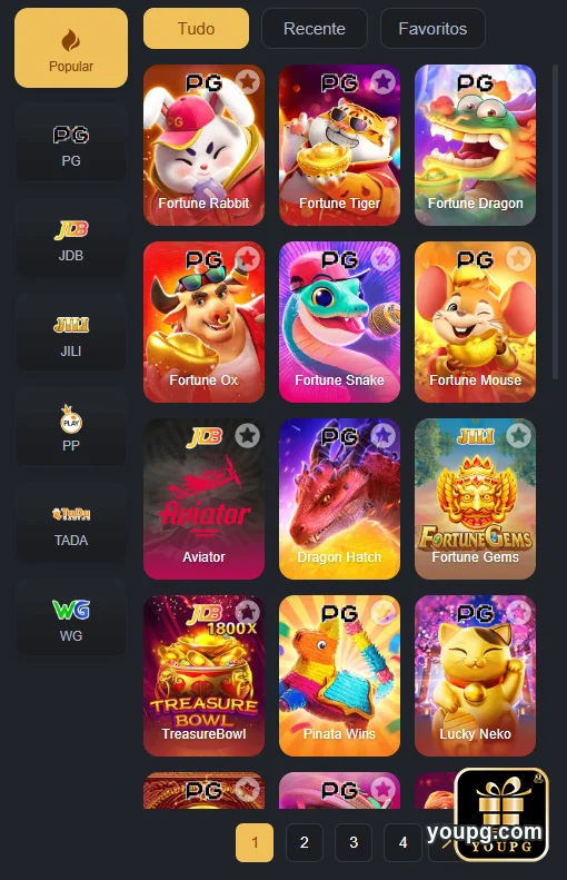 Suporte 24/7 em português para você - youpg.com